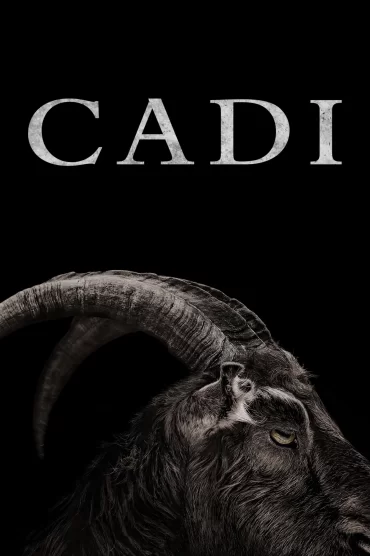 Cadı izle