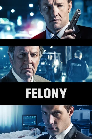 Felony izle